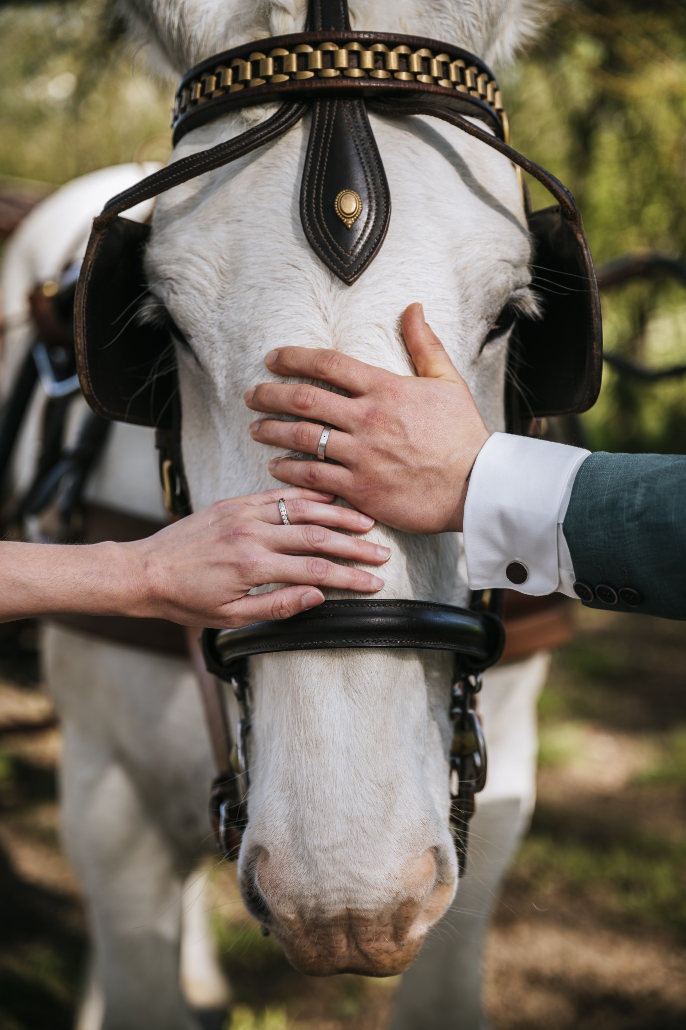 Attelage mariage Les Traits de Gaia en Gironde